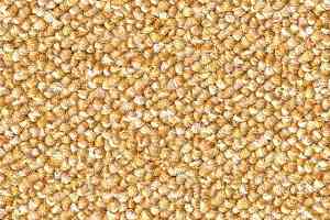 Ковровая плитка Tessera Atrium 1470 фото  | FLOORDEALER