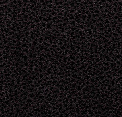 Ковровая плитка Westbond Flex Nf 92149 фото 1 | FLOORDEALER