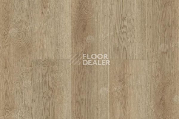 Ламинат Alpine Floor Legno Extra 8мм L1009 ДУБ ЭЛЕГАНС фото 1 | FLOORDEALER