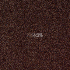 Ковровая плитка Desso Torso 2042 фото 1 | FLOORDEALER