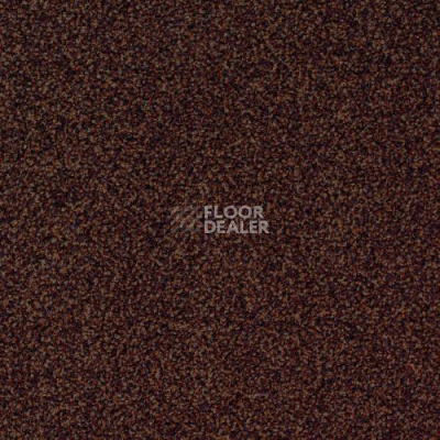 Ковровая плитка Desso Torso 2042 фото 1 | FLOORDEALER