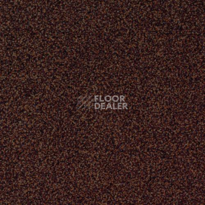 Ковровая плитка Desso Torso 2042 фото 1 | FLOORDEALER