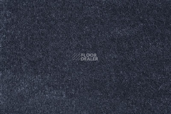Ковролин Condor Julia 42 фото 1 | FLOORDEALER