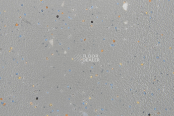 Forbo SureStep Original 172752 slate grey фото 2 | FLOORDEALER