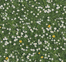 Ковролин Halbmond Pure Elements 13832 фото 1 | FLOORDEALER