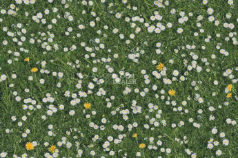 Ковролин Halbmond Pure Elements 13832 фото 1 | FLOORDEALER