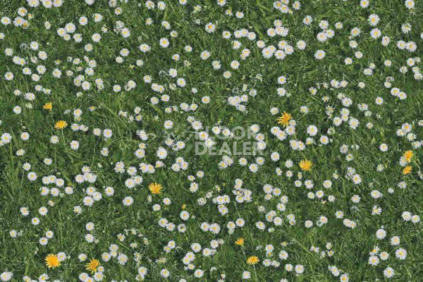 Ковролин Halbmond Pure Elements 13832 фото 1 | FLOORDEALER