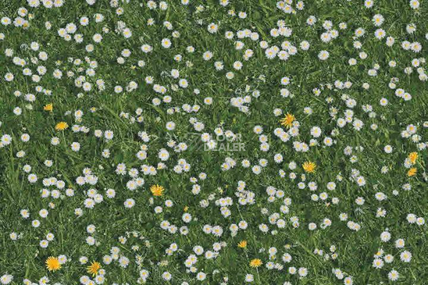 Ковролин Halbmond Pure Elements 13832 фото 1 | FLOORDEALER