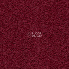 Ковролин Balta ITC Famoso 16 фото 1 | FLOORDEALER