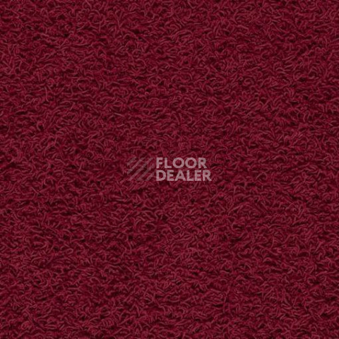 Ковролин Balta ITC Famoso 16 фото 1 | FLOORDEALER