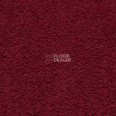 Ковролин Balta ITC Famoso 16 фото 1 | FLOORDEALER