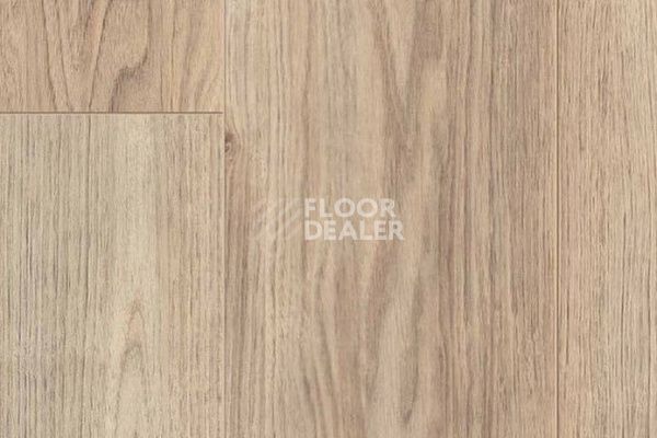 Ламинат My Floor Chalet 10мм Синерея M1023 фото 1 | FLOORDEALER