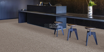 Associated Weavers Maxima 33 фото 2 | FLOORDEALER