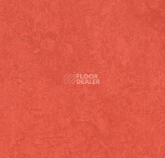 Линолеум Forbo Marmoleum Sport 83287 red фото 1 | FLOORDEALER