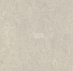 Линолеум Forbo Marmoleum Decibel 313635 concrete фото 1 | FLOORDEALER