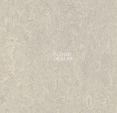 Линолеум Forbo Marmoleum Decibel 313635 concrete фото 1 | FLOORDEALER