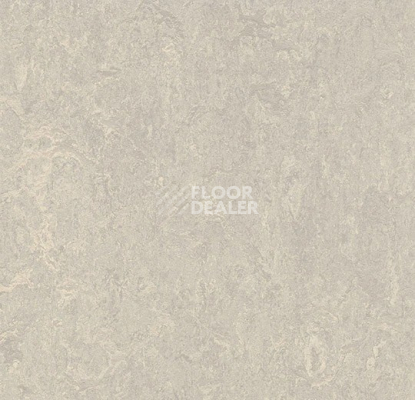 Линолеум Forbo Marmoleum Decibel 313635 concrete фото 1 | FLOORDEALER