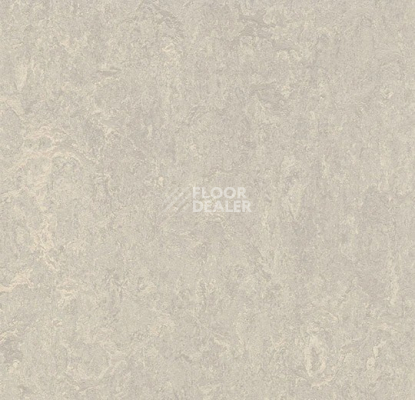 Линолеум Forbo Marmoleum Decibel 313635 concrete фото 1 | FLOORDEALER