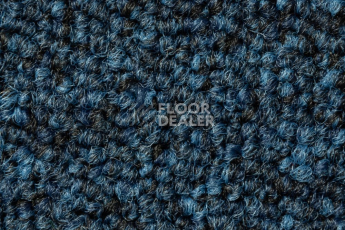 Betap Baltic 84 фото 1 | FLOORDEALER
