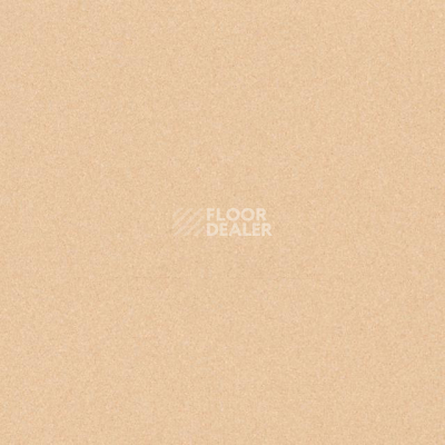 Линолеум Tarkett iq Melodia 2644 фото 1 | FLOORDEALER