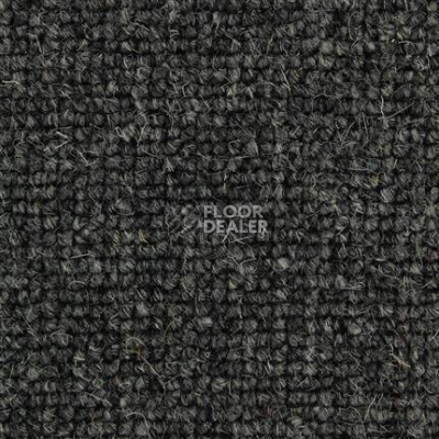 Ковролин Edel Centre Point 289 фото 1 | FLOORDEALER