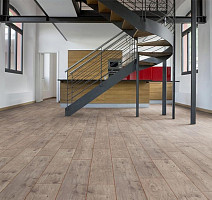 My Floor Chalet 10мм m1002 Каштан Бежевый фото 6 | FLOORDEALER