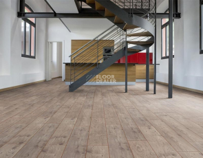 My Floor Chalet 10мм m1002 Каштан Бежевый фото 6 | FLOORDEALER