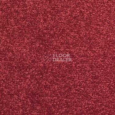 Ковровая плитка Modulyss Cambridge 346 фото 1 | FLOORDEALER