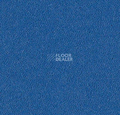 Ковровая плитка Westbond Ibond синяя гамма 9592 фото 1 | FLOORDEALER
