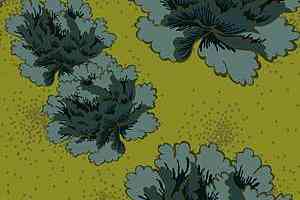 Ковролин Ege Highline Floorfashion by Muurbloem rf 5275 b 0204 фото  | FLOORDEALER