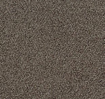 Ковролин Desso Torso B 9104 фото 1 | FLOORDEALER