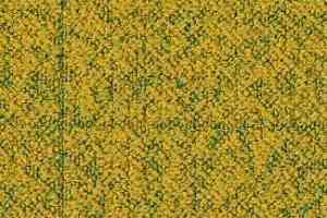 Ковровая плитка Desso Iconic 6401 фото  | FLOORDEALER