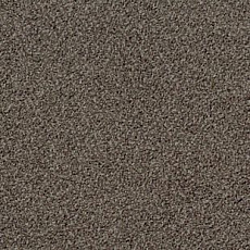 Ковролин Desso Torso B 9104 фото 1 | FLOORDEALER