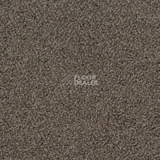 Ковролин Desso Torso B 9104 фото 1 | FLOORDEALER