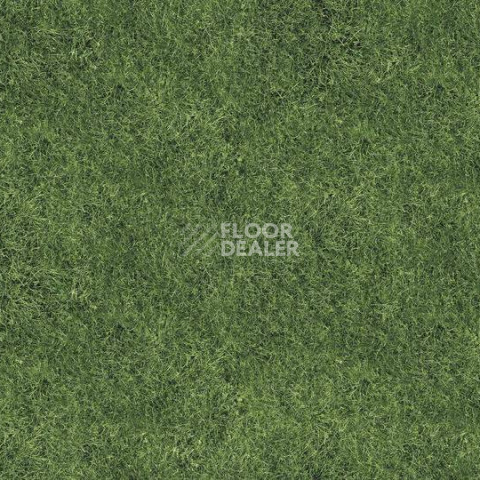 Ковролин Halbmond Pure Elements 13833 фото 1 | FLOORDEALER