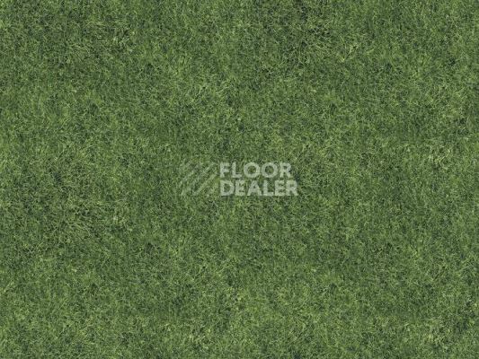 Ковролин Halbmond Pure Elements 13833 фото 1 | FLOORDEALER