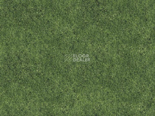 Ковролин Halbmond Pure Elements 13833 фото 1 | FLOORDEALER