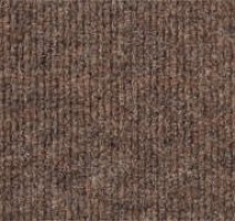 Ковролин Sintelon Ekonomic Plus 176EP фото 1 | FLOORDEALER