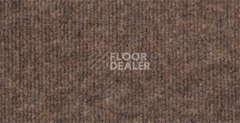 Ковролин Sintelon Ekonomic Plus 176EP фото 1 | FLOORDEALER