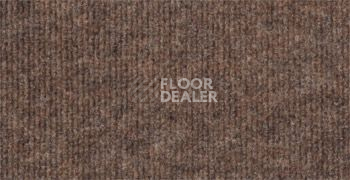 Ковролин Sintelon Ekonomic Plus 176EP фото 1 | FLOORDEALER
