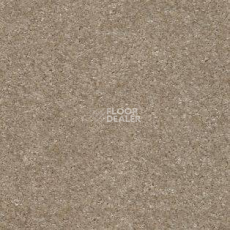 Ковролин AW Sensation 30 фото 1 | FLOORDEALER