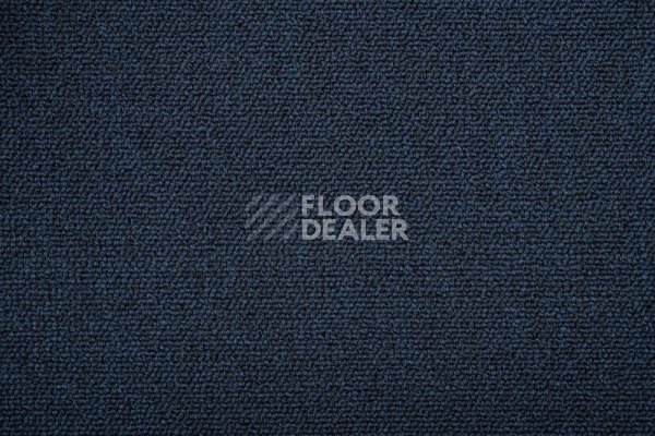 Ковролин Standard Carpets Romeo Park 559 фото 1 | FLOORDEALER