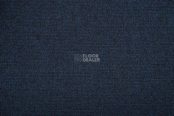 Ковролин Romeo Park 559 фото 1 | FLOORDEALER