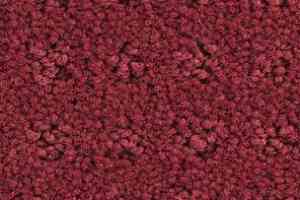 Ковролин Balsan Patio Patio 575 фото  | FLOORDEALER