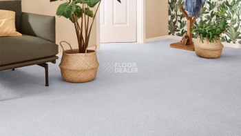 Vorwerk Superior 1071 Vorwerk 5y38 фото 2 | FLOORDEALER