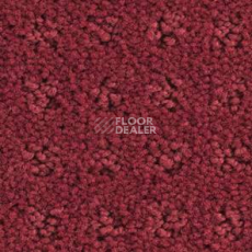 Ковролин Balsan Patio Patio 575 фото 1 | FLOORDEALER