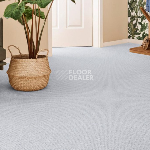 Vorwerk Superior 1071 Vorwerk 5y38 фото 2 | FLOORDEALER