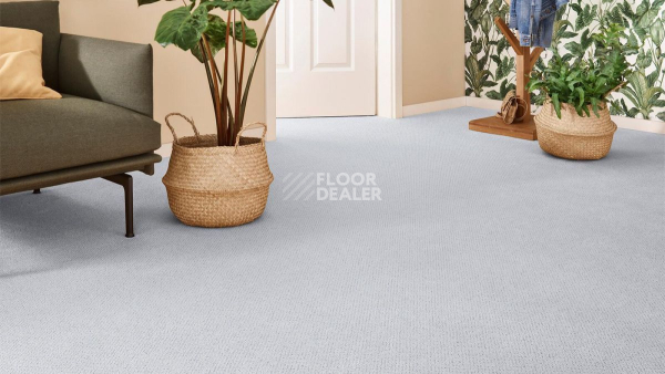 Vorwerk Superior 1071 Vorwerk 5y38 фото 2 | FLOORDEALER