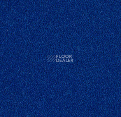 Ковровая плитка Westbond Ibond синяя гамма 9002 фото 1 | FLOORDEALER