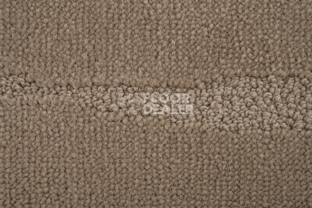 Standard Carpets Arabian Desert 1395 фото 4 | FLOORDEALER